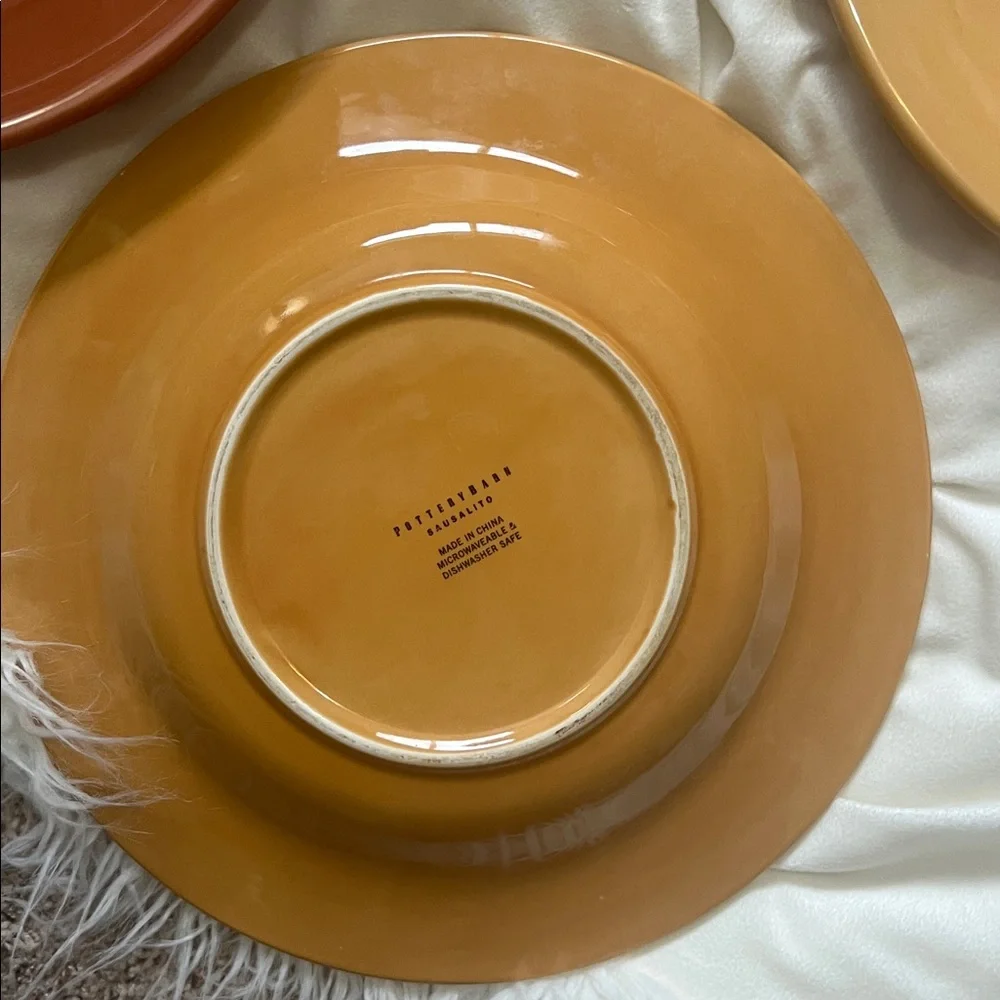Pottery Barn Sausalito 4 Dinner Plates each 12 Inches each